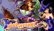 Игровой автомат Wild Witches от Максбетслотс - онлайн казино Maxbetslots